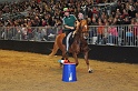 Pferd u Jagd   080